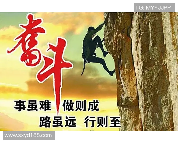 张帆的成长之路：从青涩少年到职场精英的奋斗故事与人生启示